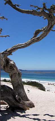 carmel beach